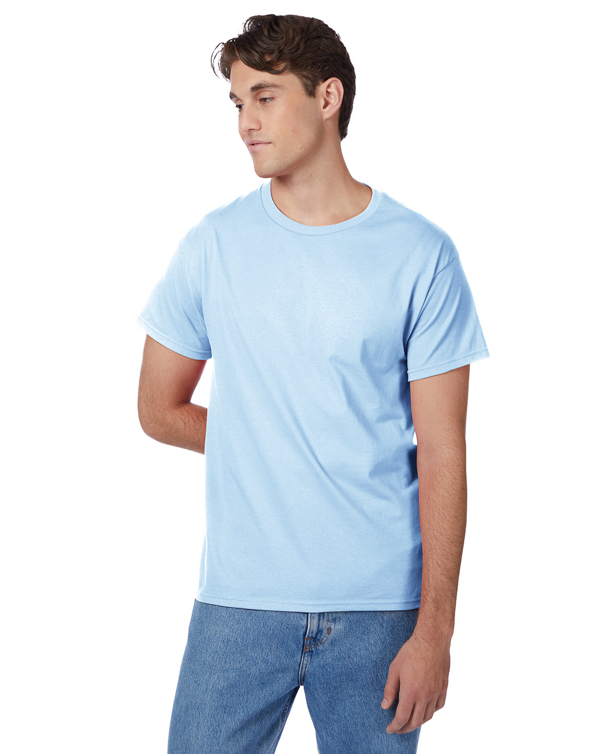 Hanes 5250T Men's Authentic-T T-Shirt