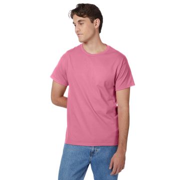 Hanes 5250T Men's Authentic-T T-Shirt - PINK