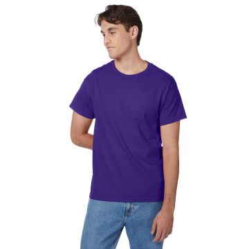 Hanes 5250T Men's Authentic-T T-Shirt - PURPLE