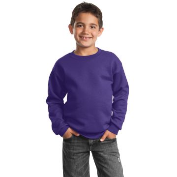 Port & Company &  - Youth Core Fleece Crewneck Sweatshirt.  PC90Y