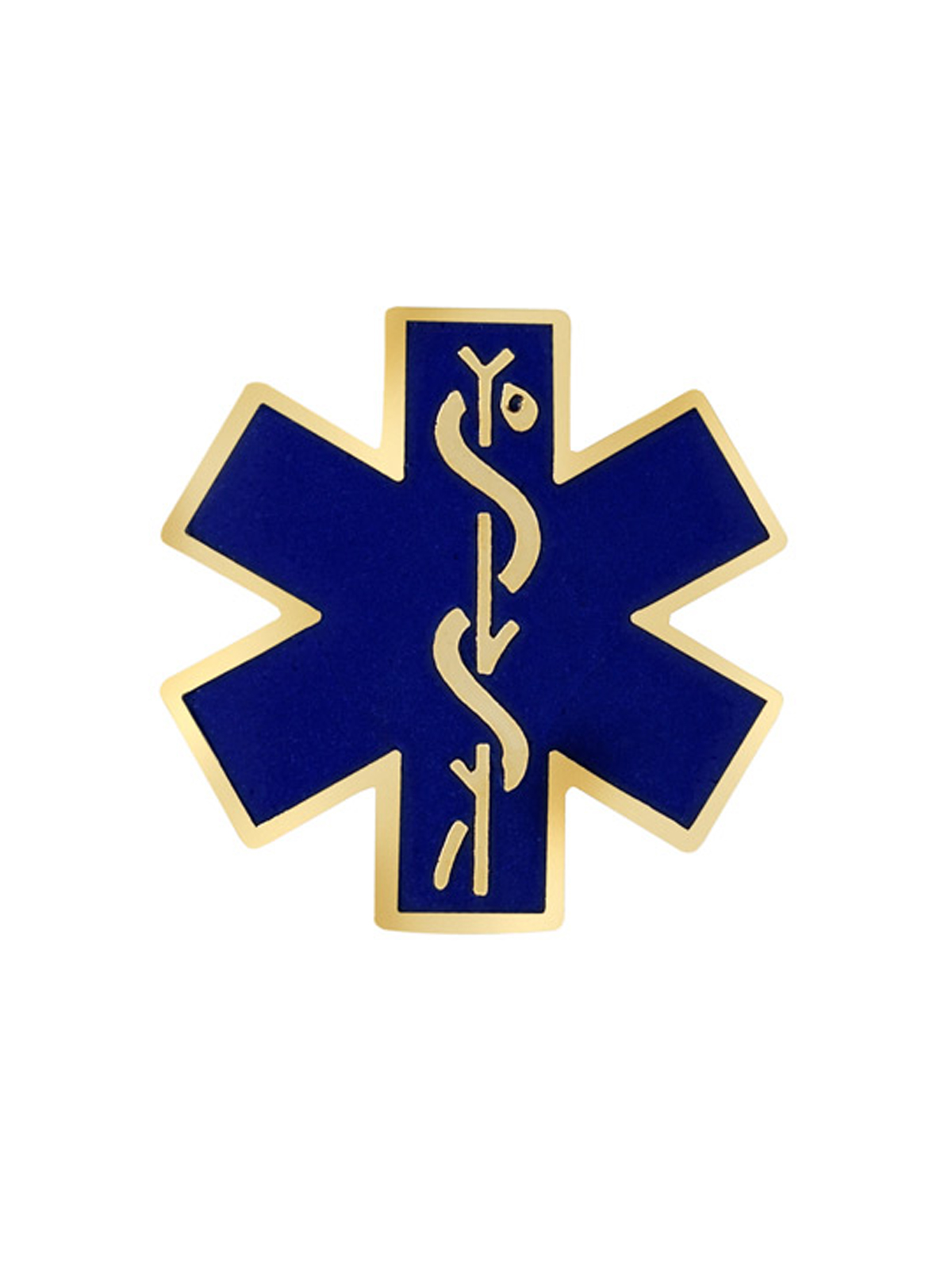 Prestige Medical 2012 Star of Life Pin Cloisonne Pin