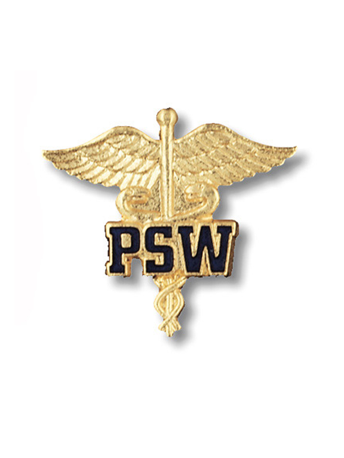 Prestige Medical 2024 Patient Service Worker Cloisonne Pin