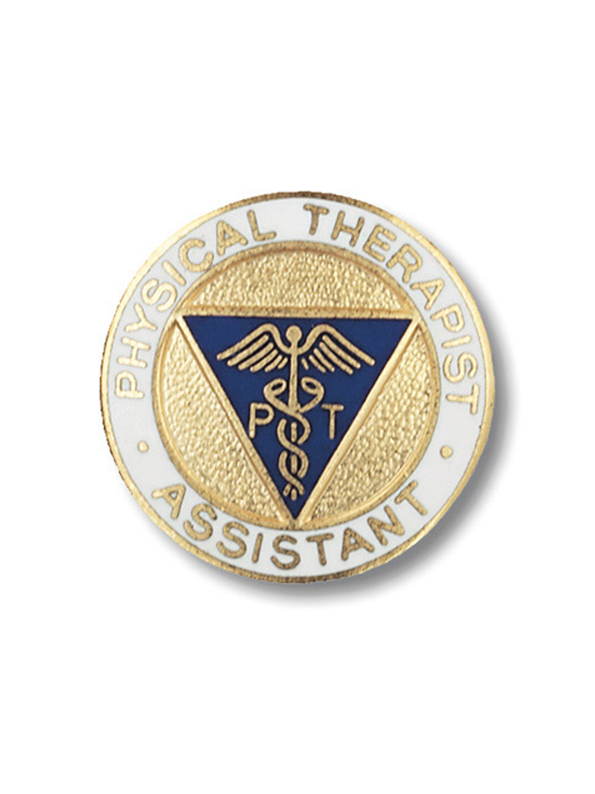 Prestige Medical 2025 Physical Therapist Assistant Cloisonne Pin